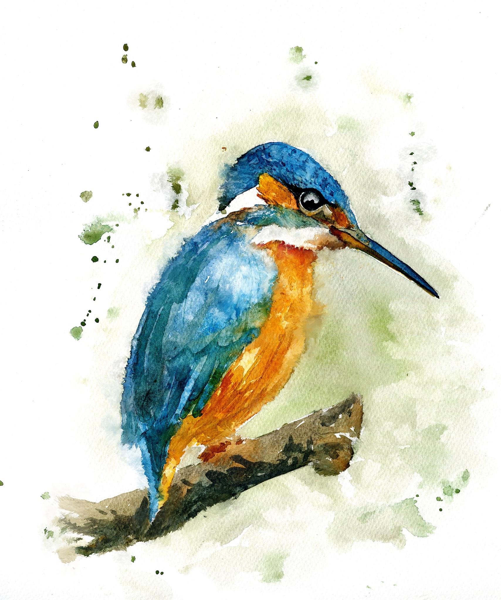 Kingfisher