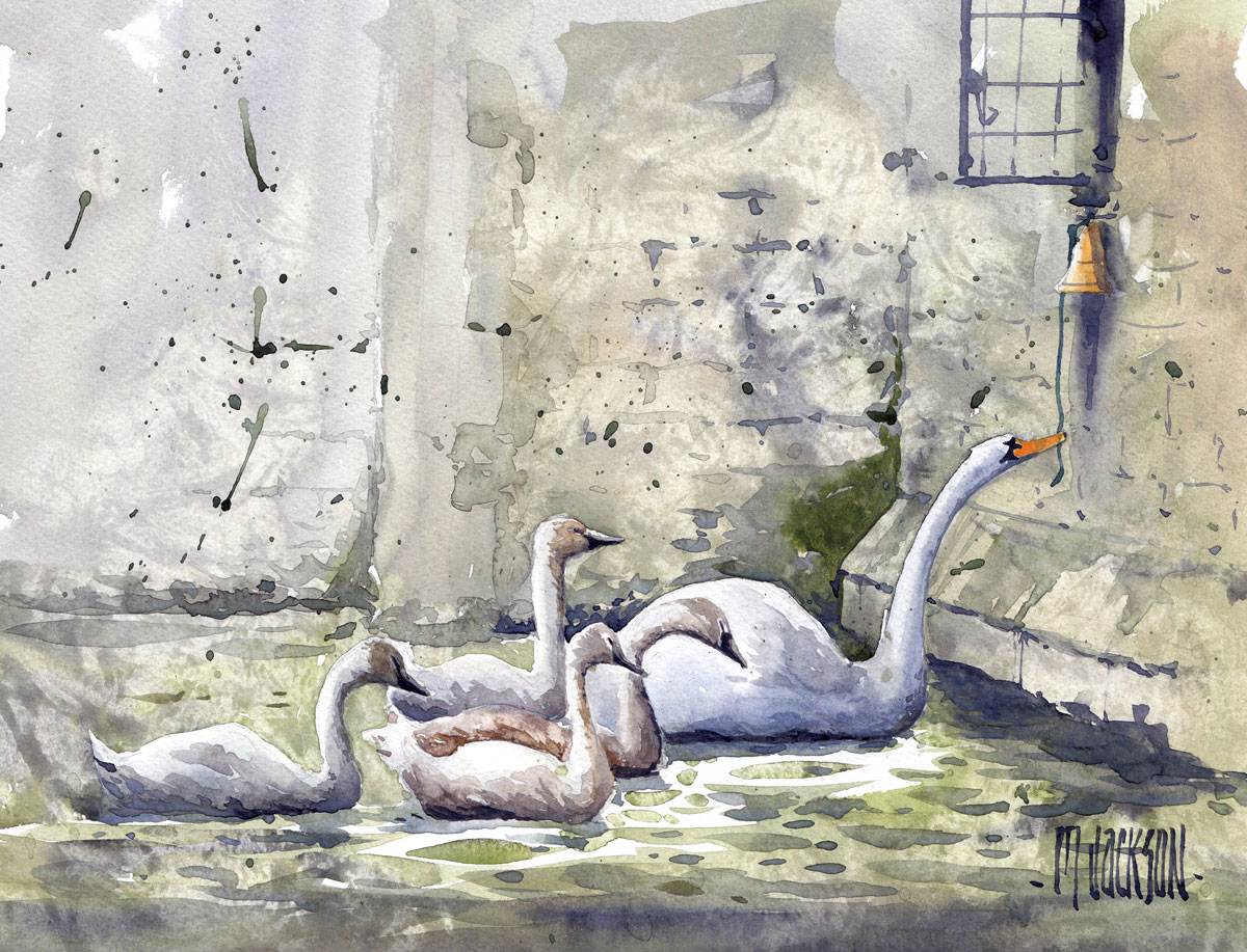 Swans at Wells